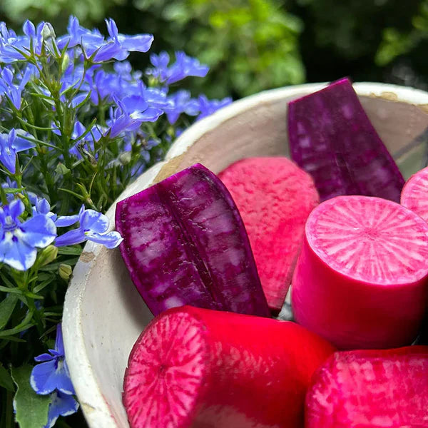 Pineapple Fruit Radish Seeds