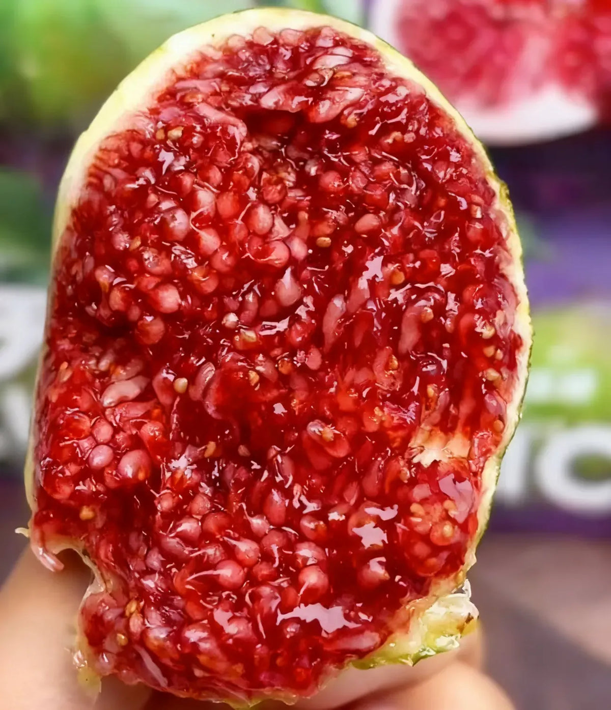 🍑Super Giant Fig Tree Plants - The Sweetness of a Peach in Every Bite! 🌟