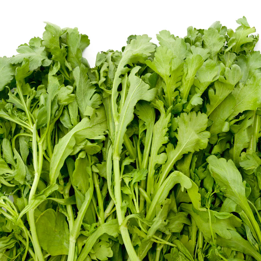 Shungiku Edible Chrysanthemum Seeds (Glebionis coronaria) – Nutritious, Mild Flavor, Great for Salads and Stir-Fries, Easy to Grow