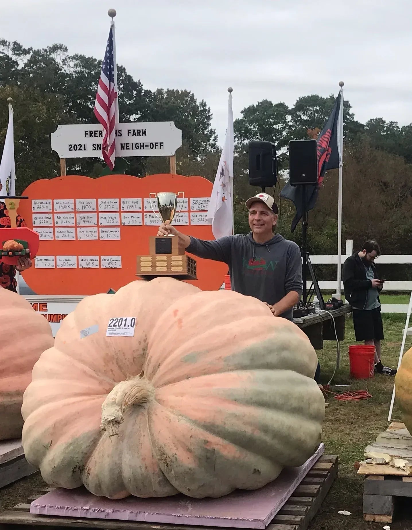 Giant Pumpkin Seeds Wallace's Whoppers