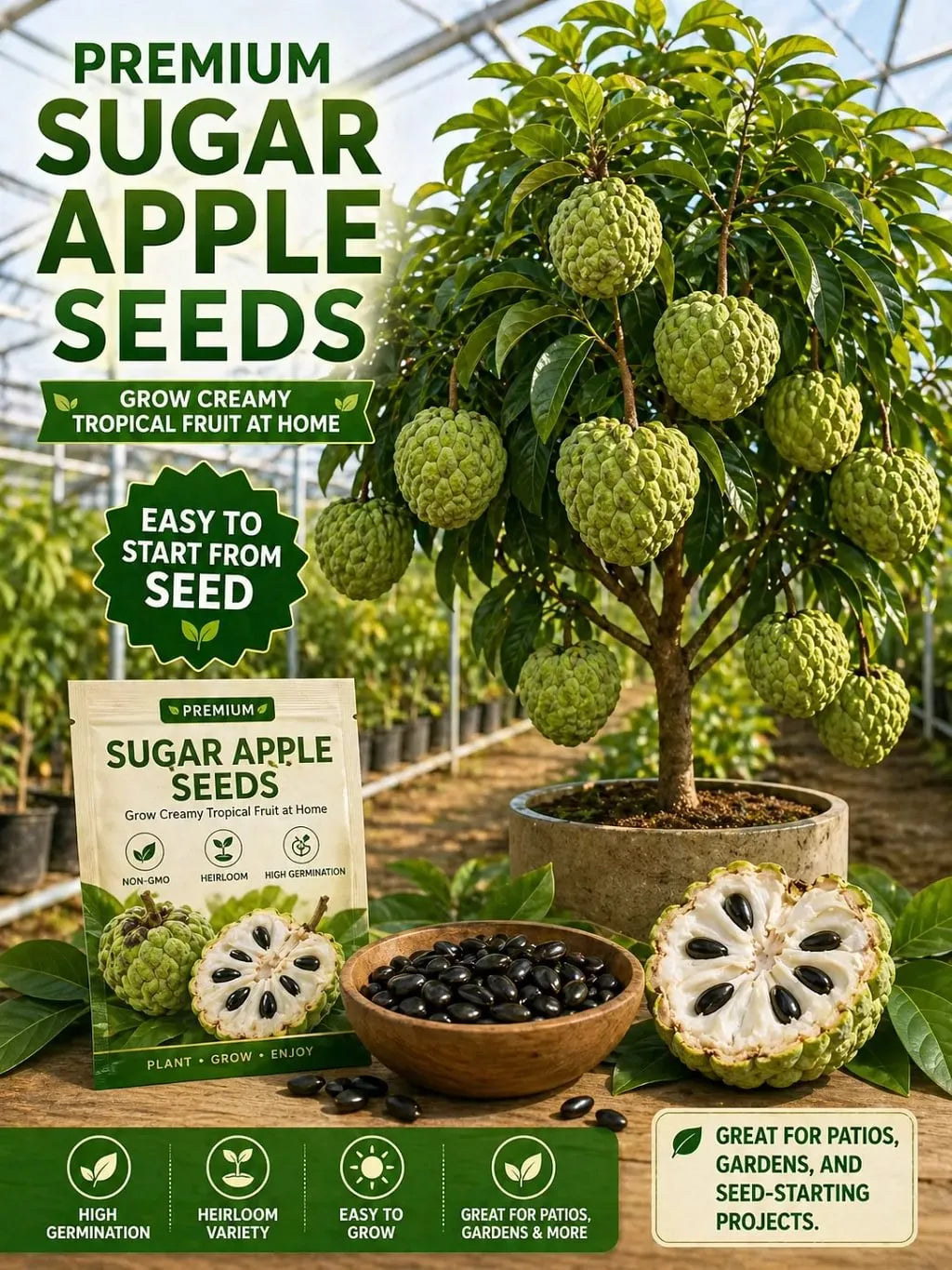 🍐✨Live Sugar Apple Seeds – Sweet Tropical Fruit for Home Gardenarden