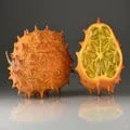 Kiwano Melon Seeds High Germination Organic Garden Seeds