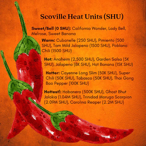 Ghost Bhut Jolokia Pepper | Live Plants | Non-GMO, High Yield,