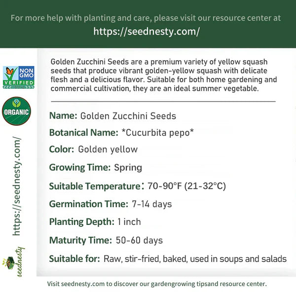Golden Zucchini Seeds