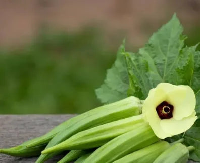 Okra Seeds for Planting forvegetable patches and home gardens