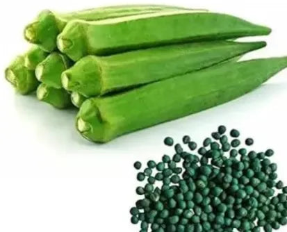 Okra Seeds for Planting forvegetable patches and home gardens