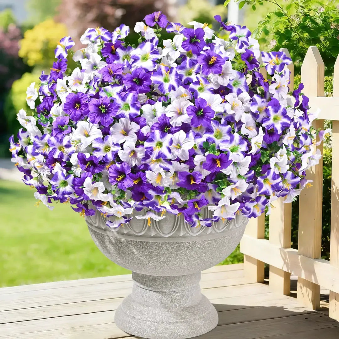 🔥Last Day 60% OFF🔥 Petunias Flowers seeds