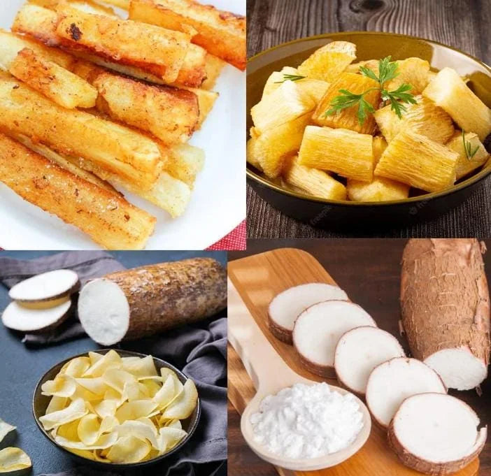 Cassava Yuca Cuttings – Set of 5, 3-5″ Tall – Manihot Esculenta Live Plant for Home Gardening