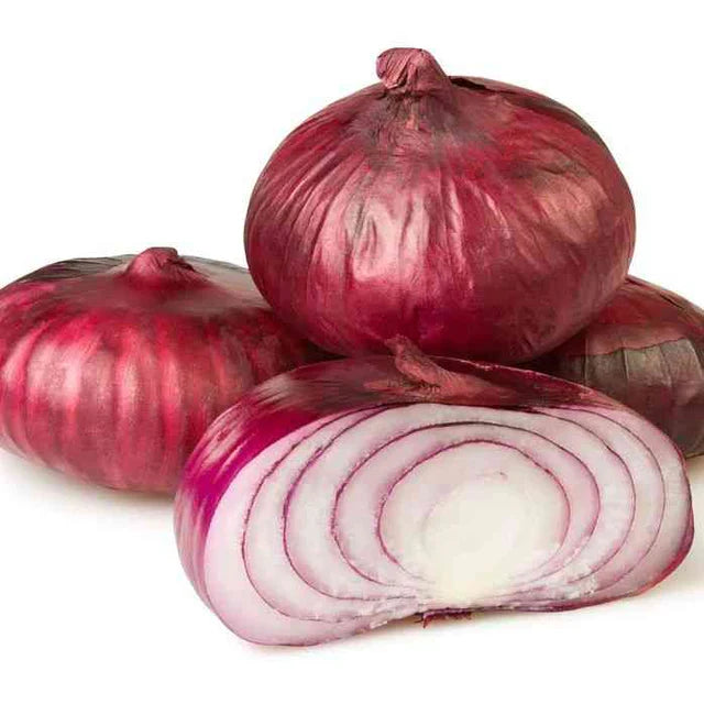 Onion Seeds - Intermediate - Red Cipollini