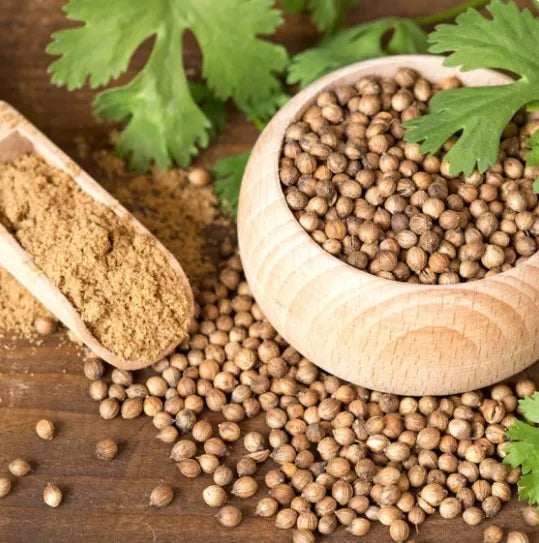 LEISURE CORIANDER CILANTRO SEEDS