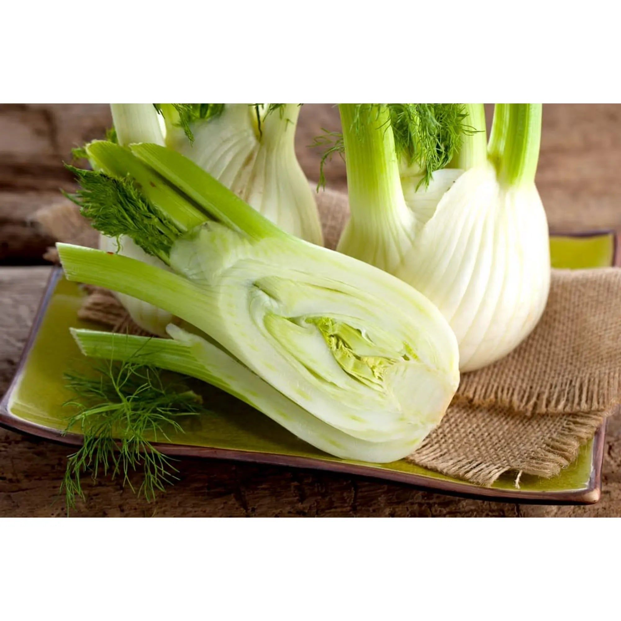 Vegetable Seeds for Planting - Grow Preludio Fennel Bulbs for Cuisine