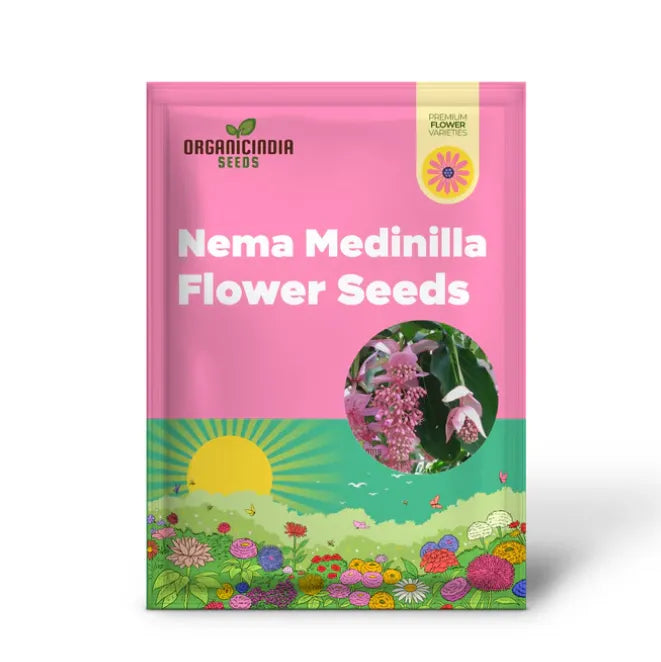 Medinilla Magnifica Pink Flower Seeds, Exotic Blooms in YourGarden, Grow Your Own Medinilla Seeds for Indoor and OutdoorGardens