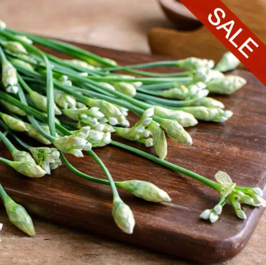 GARLIC CHIVES SEEDS