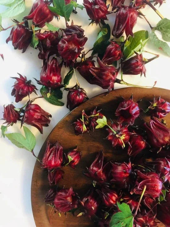 Roselle Seeds - Jamaican Sorrel - Hibiscus sabdariffa