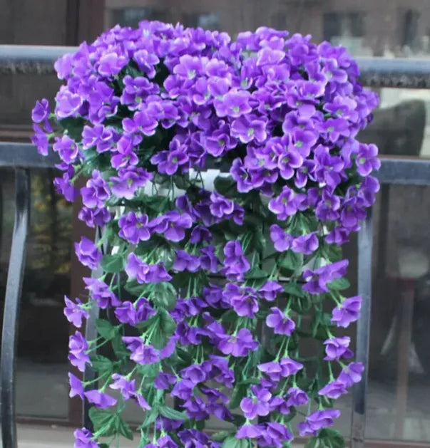 🔥🔥LAST DAY-Graceful Orchid Cascade seeds