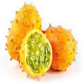Kiwano Melon Seeds High Germination Organic Garden Seeds