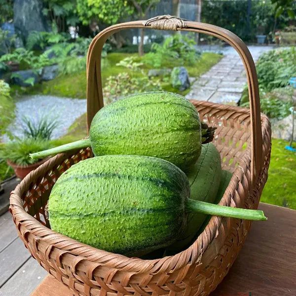 Apple Luffa Seeds