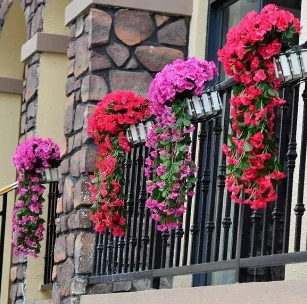 🔥🔥LAST DAY-Graceful Orchid Cascade seeds