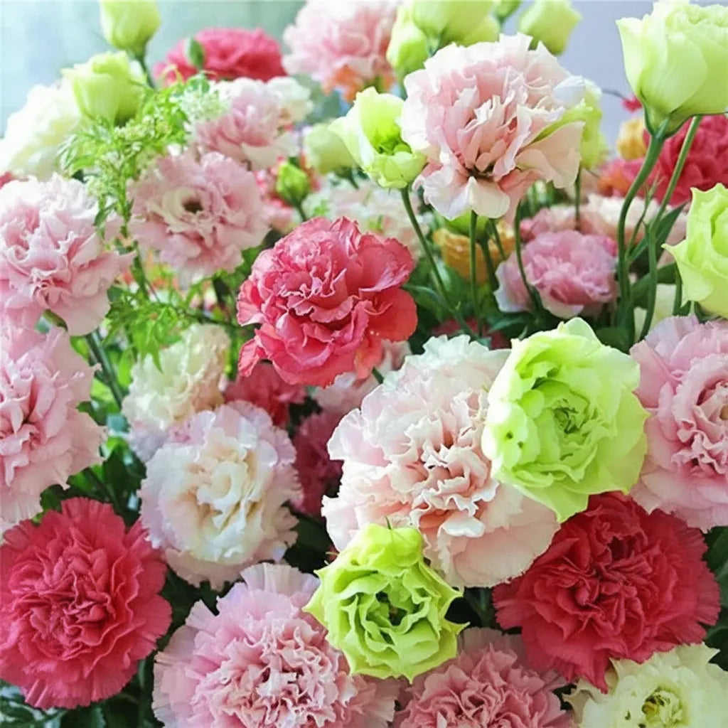 Eustoma Lisianthus Flower Seeds For Garden Blooms