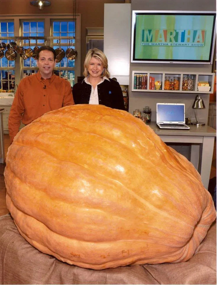 Giant Pumpkin Seeds Wallace's Whoppers