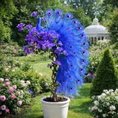 🦚Peacock Bougainvillea Seeds - Add elegant peacock blossoms to your garden
