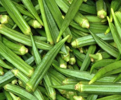 Okra Seeds for Planting  forvegetable patches and home gardens