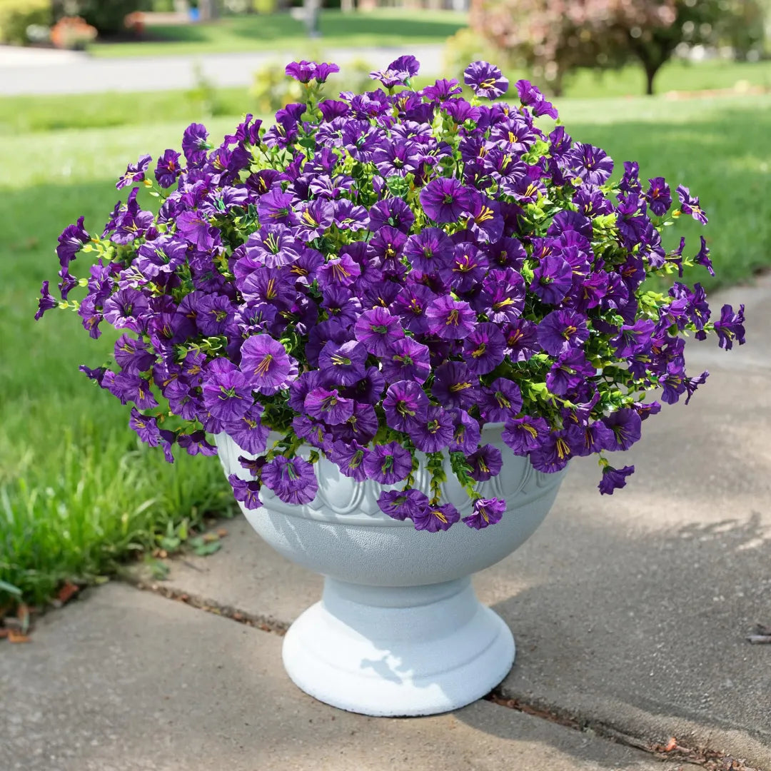 🔥Last Day 60% OFF🔥 Petunias Flowers seeds