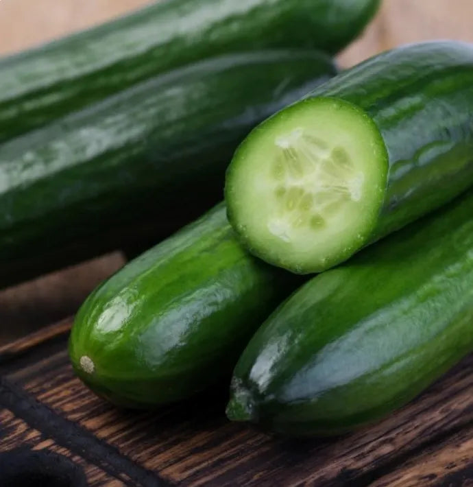 Spacemaster Cucumber Seeds