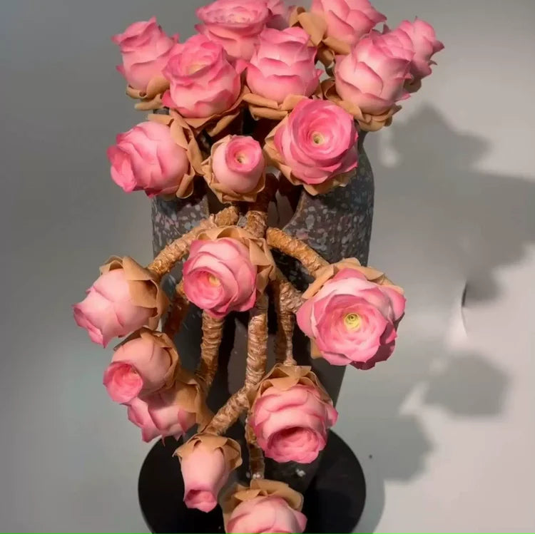 Mountain Roses Seeds (Greenovia)-Rare pink succulent