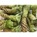 Wasabi Seeds for Planting