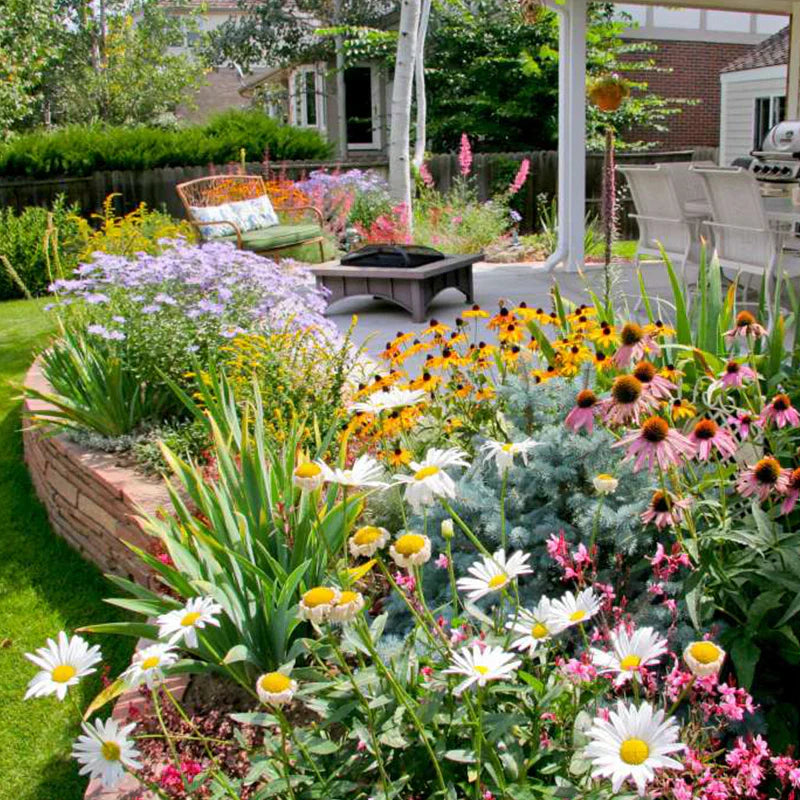 🔥Last day clearance💝Mixed Perennial Flowers Seeds-Over 60 kinds mixed