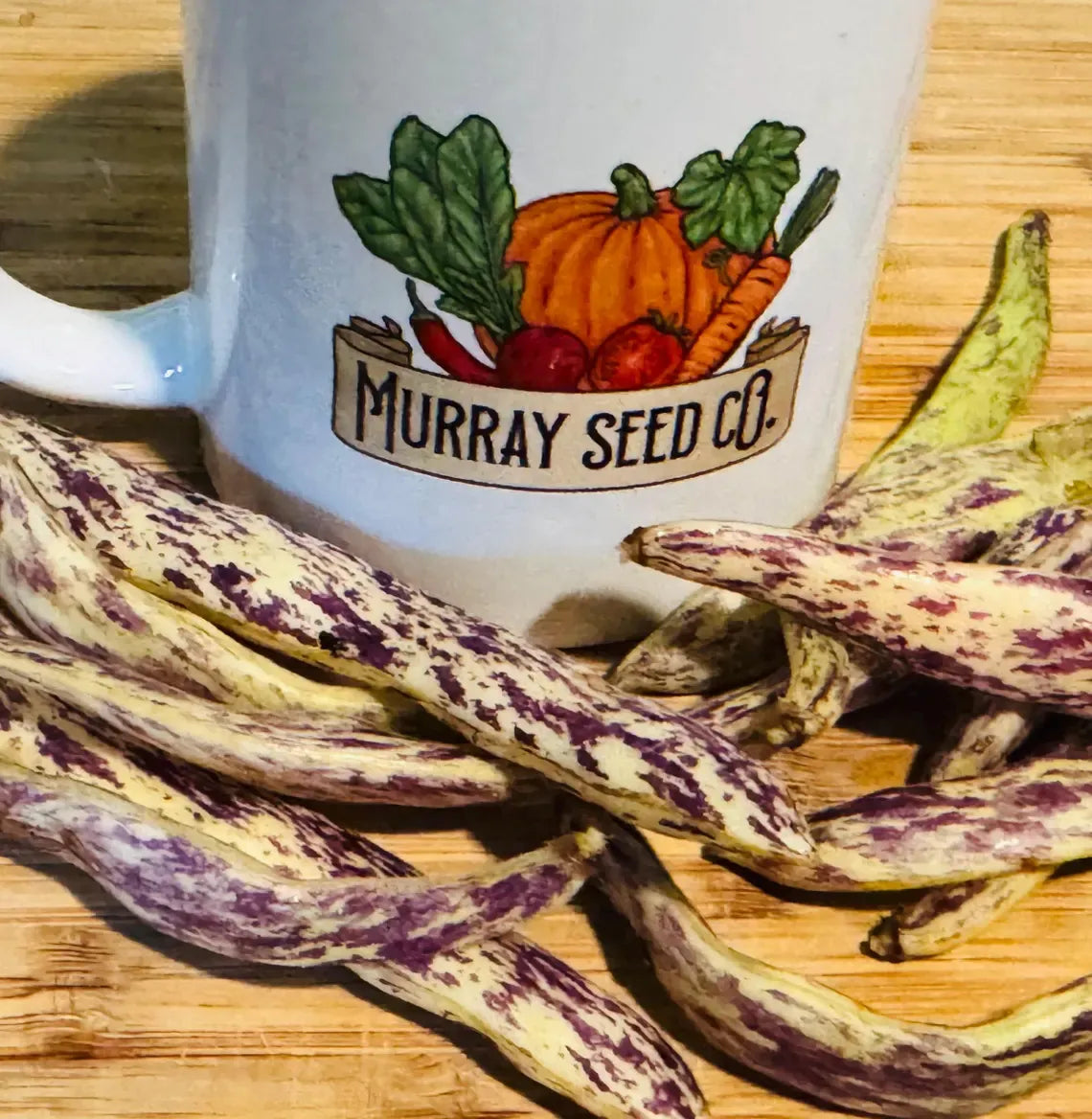 Dragon's Tongue Bean Seeds | Heirloom | Organic