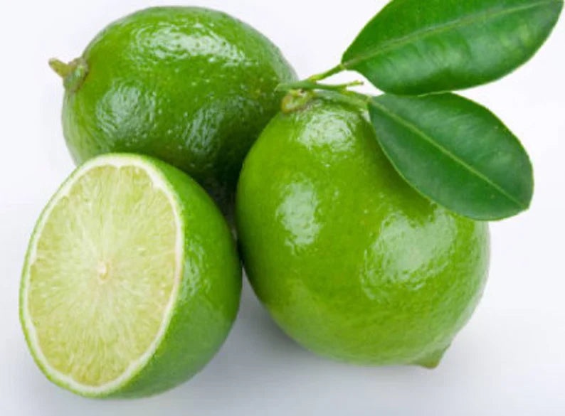 RARE Key LIME Fruit-Grow indoors in a Pot - Very Juicy fruit