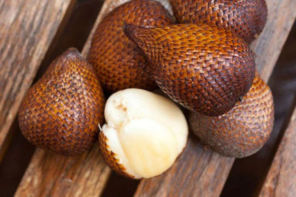 Rare Salak Seeds Snake Fruit Palm Tropical Garden Plant