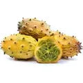 Kiwano Melon Seeds High Germination Organic Garden Seeds